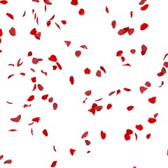 Rose petals fly in the air