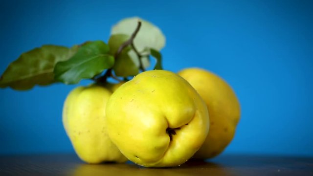 ripe fruit quince isolated on blue background