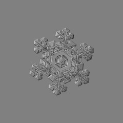 Snowflake isolated on uniform gray background. Macro photo of real snow crystal: elegant star plate...