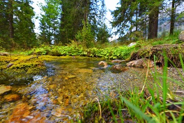 there is a brook