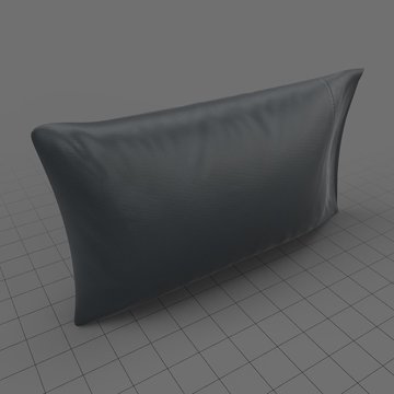 Modern throw pillow