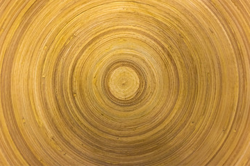 Fragment of a plate of bamboo. Top view, background, texture.