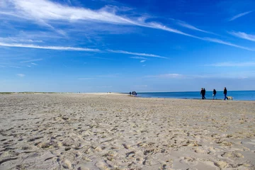 Gardinen Silhouettes on the beach in the Netherlands © Mira Drozdowski