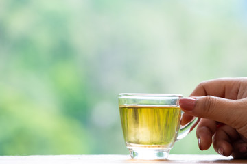 women hand holding a glass cup of hot tea. green nature background.