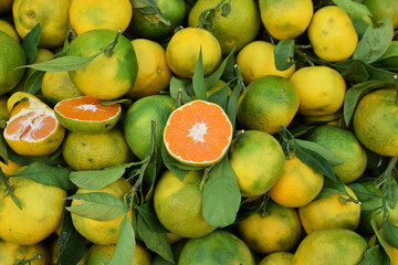 oranges and mandarins fresh fruit