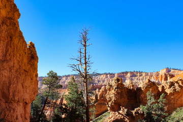 Bryce Canyon