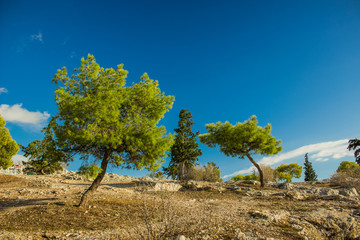 nature colorful scenery landscape of green trees on rocks outdoor park in Mediterranean district,...