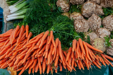 Wurzeln Gemüse Karotten