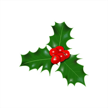 Holly berry icon. Christmas symbol vector illustration