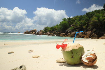 coconut at anse cocos la digue, Seychelles 