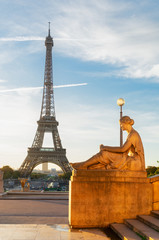 Fototapeta na wymiar view of Eiffel Tower from Trocadero garden in sunrise light, Paris, France