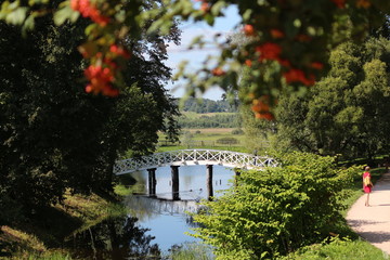 Bridge in the park