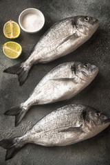 Sea bream (dorada) fish