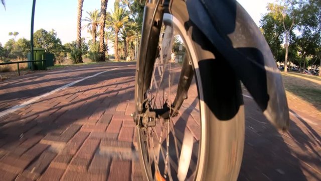 Bike wheel ride in the par