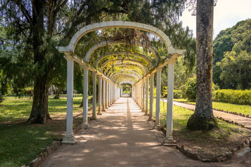Jardim Botanico Botanical Garden - Rio de Janeiro, Brazil