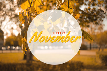 Hello November autumn composition in park. Yellow and orange leaves tree landscape