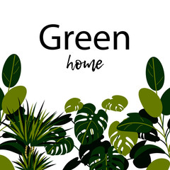 Creen home banner. Home plants design