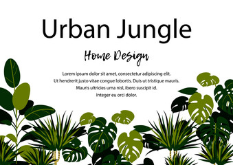 Urban jungle horizontal banner. Home plants design