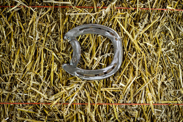 Letter D Steel Horseshoe on Straw