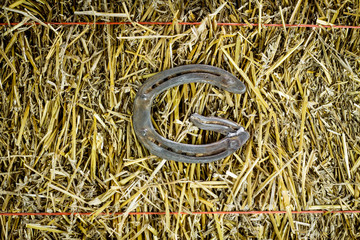 Letter G Steel Horseshoe on Straw