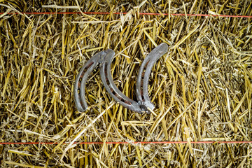 Letter N Steel Horseshoe on Straw