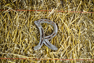 Letter R Steel Horseshoe on Straw