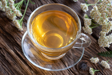 A cup of yarrow tea with fresh yarrow flowers