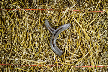 Letter Y Steel Horseshoe on Straw