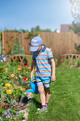 European boy with the blue watering can is helping to water the flowers in the croft. © Artem