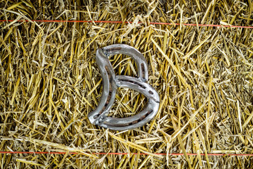 Letter B Steel Horseshoe on Straw
