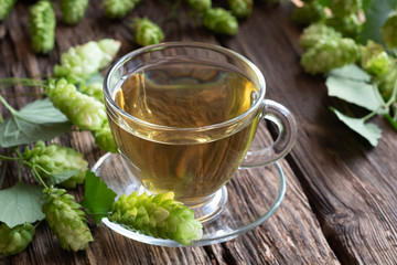 A cup of tea with wild hops