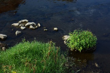 A view of autumn stream