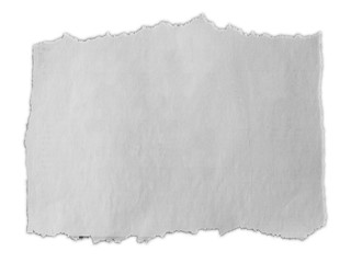 Torn piece of paper 