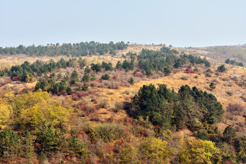 Fototapeta na wymiar Autumn countryside landscape and nature reserve of Mouth of Dobrogea , Dobrogea land , Romania