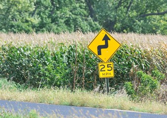 Curvy Road Sign