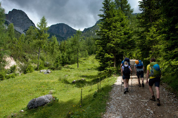 Fototapeta na wymiar Ascending into the mountains near Dachstein massive in Austria