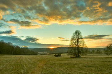 Linden watches for coming spring captured below Kublov village in Krivoklatsko area.
