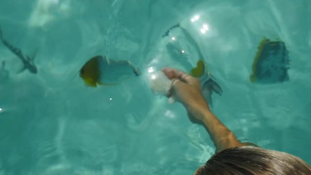 Girl feeding tropical fishes in clear water french polynesia