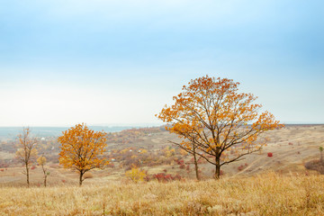 Bright and warm landscapes in the autumn. Hills, fields and trees