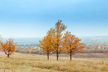 Fototapeta premium Bright and warm landscapes in the autumn. Hills, fields and trees