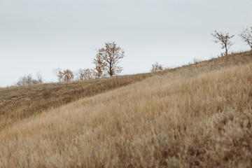 Bright and warm landscapes in the autumn. Hills, fields and trees