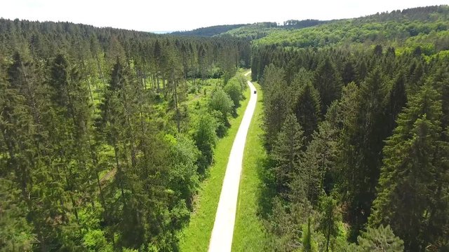 Road in the forest Verdun France Drone view