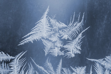 the unique ice patterns on window glass
