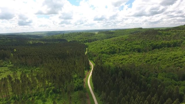 Drone flight over a forest path. Location Verdun France.