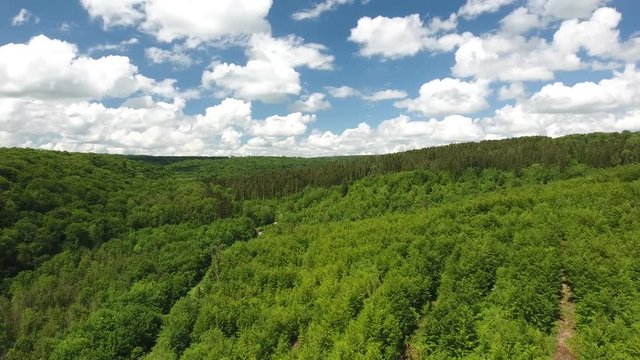 Flying over Verdun forest, beautiful blue sky and white clouds. World war 1