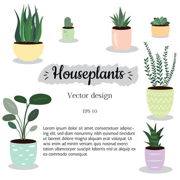 Set of house plants vector design, doodle illustration.