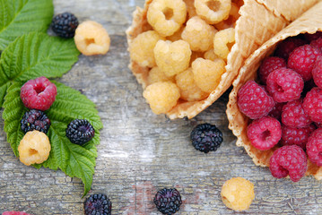 Raspberry red, yellow and black in waffle cups on a gray wooden background.