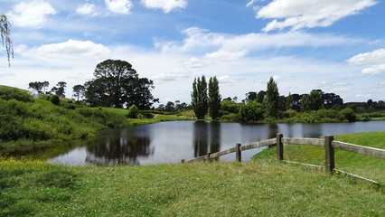 lake in the park