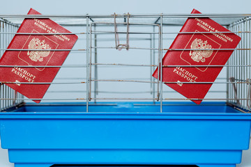 Sanctions against Russia: Passport behind bars closed in cage
