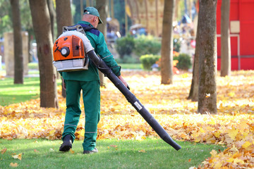 Working in the Park removes leaves with a blower